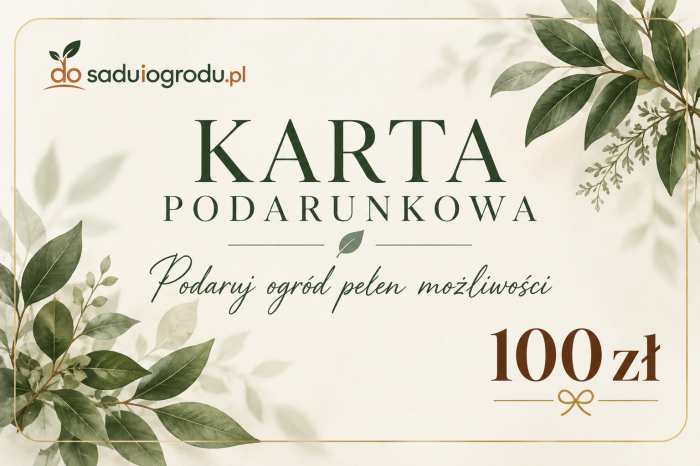 karta podarunkowa 100 zł.png
