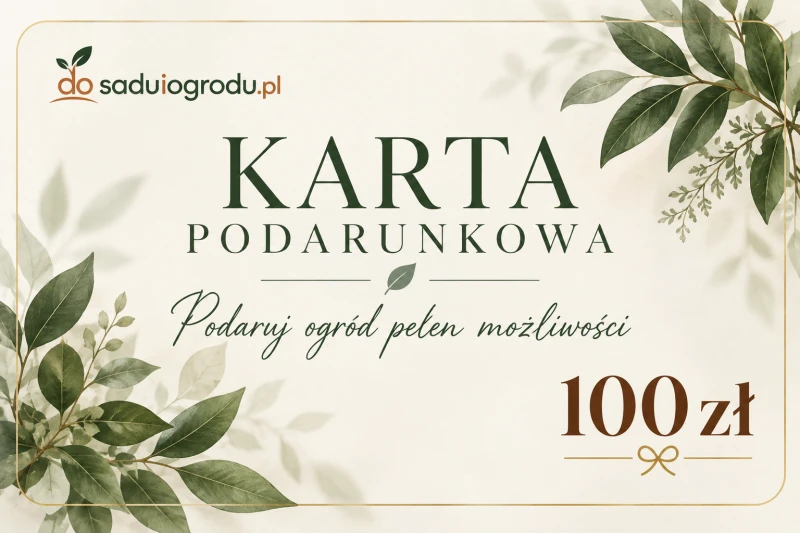 karta podarunkowa 100 zł.png