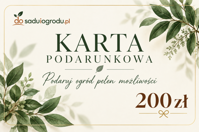 karta podarunkowa 200 zł.png