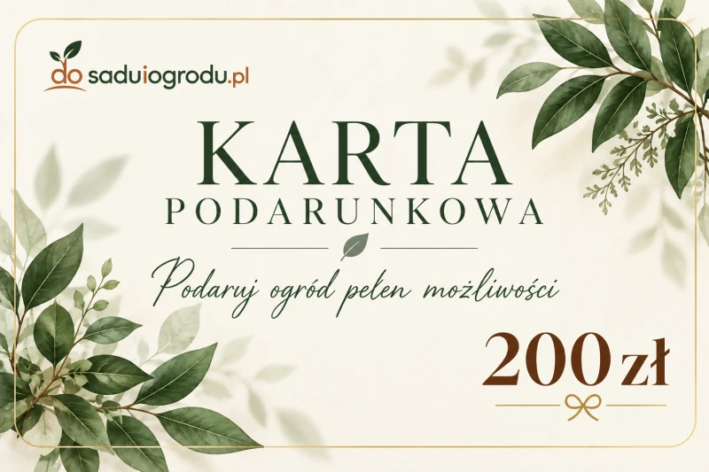 karta podarunkowa 200 zł.png