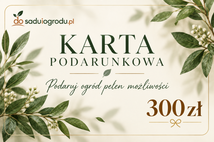 karta podarunkowa 300 zł.png