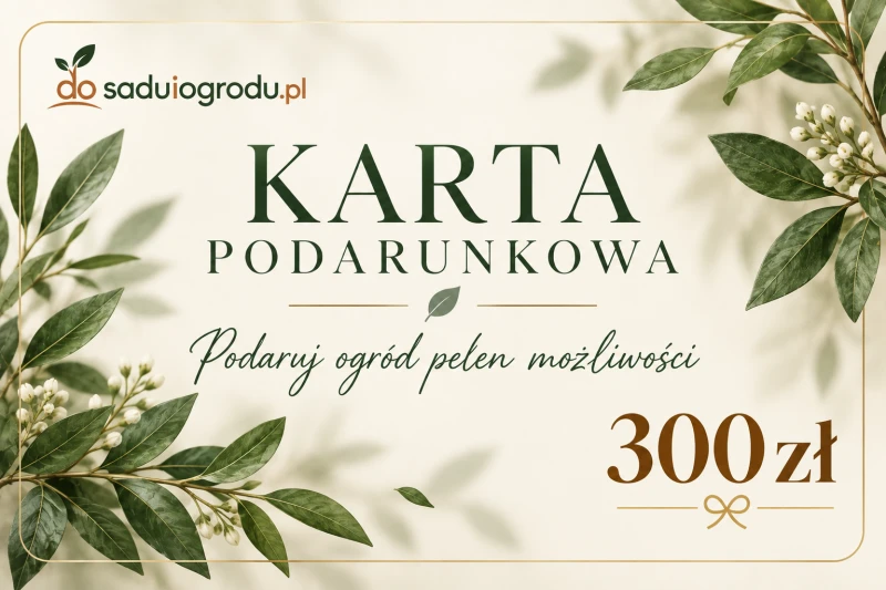 karta podarunkowa 300 zł.png