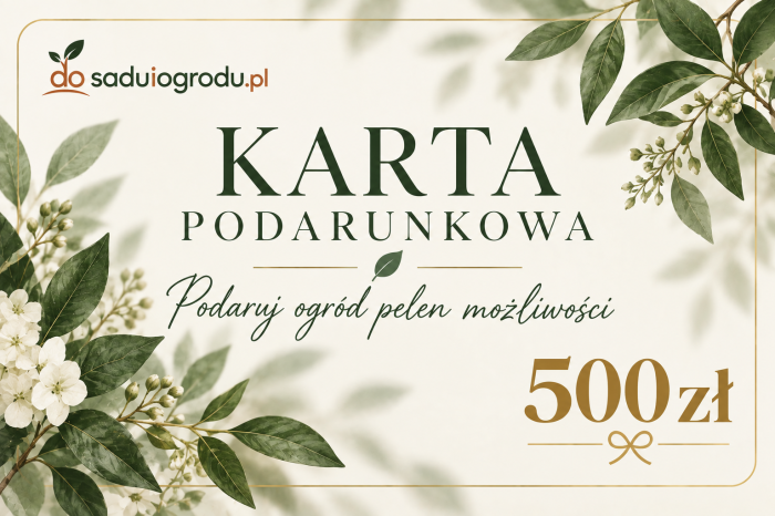karta podarunkowa 500 zł.png