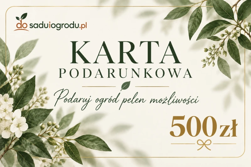 karta podarunkowa 500 zł.png